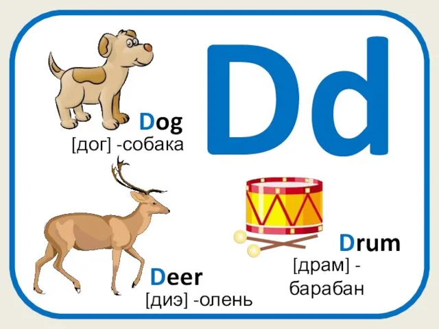 Dd Drum [драм] - барабан [дог] -собака Dog Deer [диэ] -олень