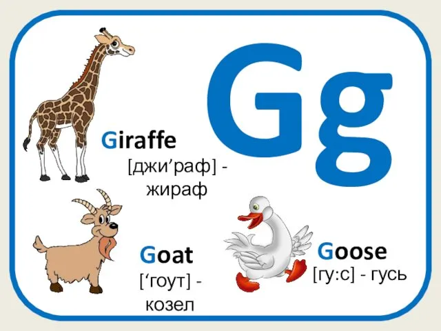 Gg Giraffe [джи’раф] - жираф [гу:с] - гусь Goose Goat [‘гоут] - козел