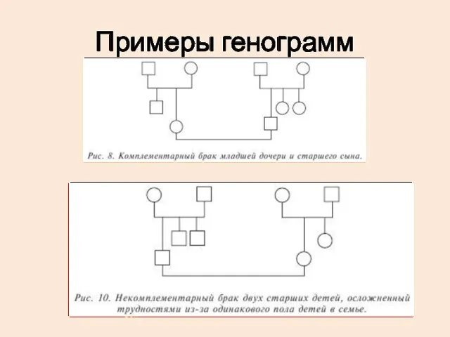 Примеры генограмм