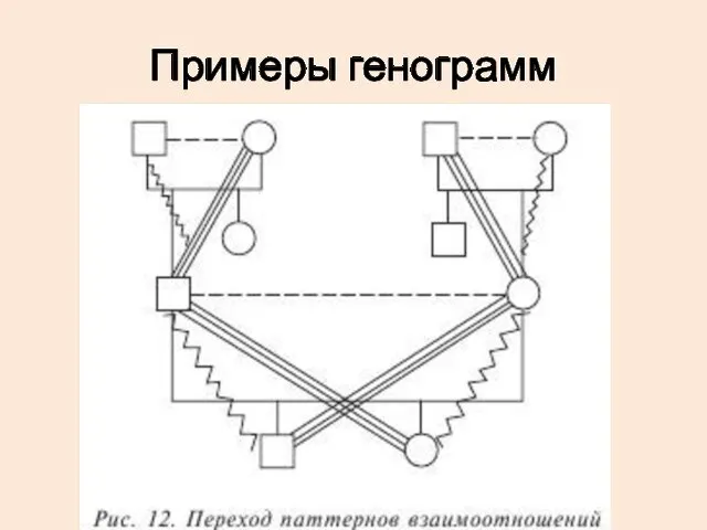 Примеры генограмм