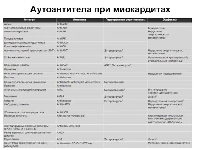 Аутоантитела при миокардитах