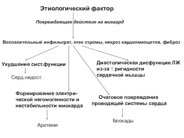 Этиологический фактор Повреждающее действие на миокард Воспалительный инфильтрат, отек стромы, некроз