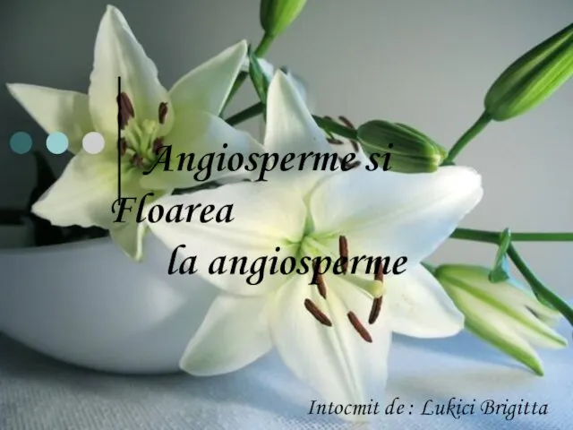 Angiosperme si floarea la angiosperme