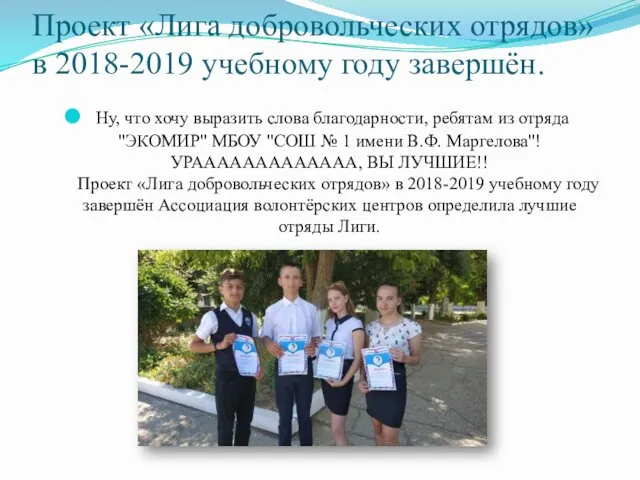 Проект «Лига добровольческих отрядов» в 2018-2019 учебному году завершён. Ну, что