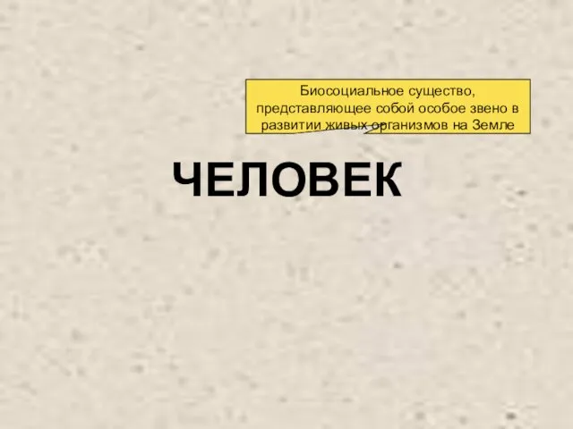 ЧЕЛОВЕК Биосоциальное существо, представляющее собой особое звено в развитии живых организмов на Земле