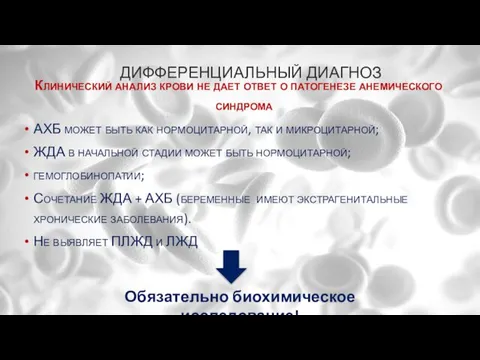 ДИФФЕРЕНЦИАЛЬНЫЙ ДИАГНОЗ Клинический анализ крови не дает ответ о патогенезе анемического