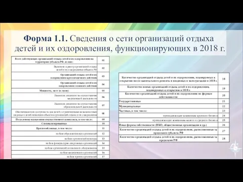 Форма 1.1. Сведения о сети организаций отдыха детей и их оздоровления, функционирующих в 2018 г.