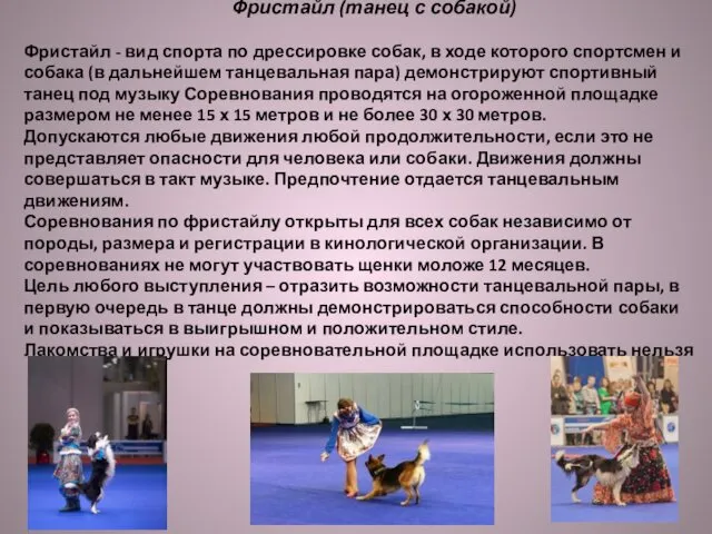 Фристайл (танец с собакой) Фристайл - вид спорта по дрессировке собак,