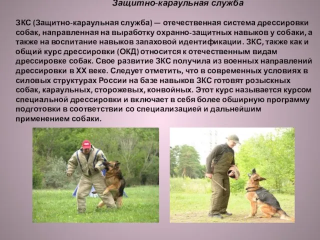 Защитно-караульная служба ЗКС (Защитно-караульная служба) — отечественная система дрессировки собак, направленная