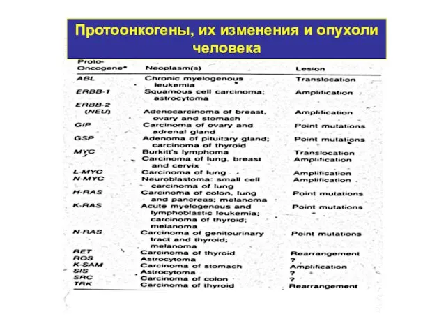 Протоонкогены, их изменения и опухоли человека