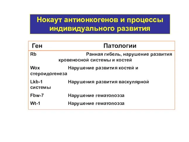 Rb Ранная гибель, нарушение развития кровеносной системы и костей Wox Нарушение