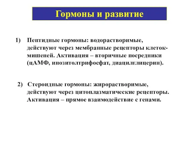 Гормоны и развитие Пептидные гормоны: водорастворимые, действуют через мембранные рецепторы клеток-мишеней.