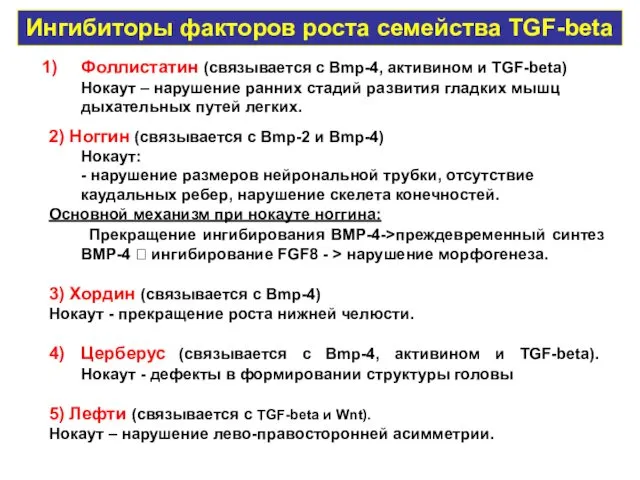 Ингибиторы факторов роста семейства TGF-beta Фоллистатин (связывается с Bmp-4, активином и