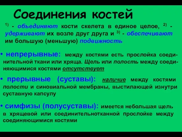 Соединения костей симфизы (полусуставы): имеется небольшая щель в хрящевой или соединительнотканной