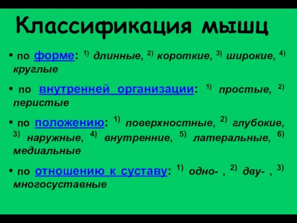 Классификация мышц по форме: 1) длинные, 2) короткие, 3) широкие, 4)