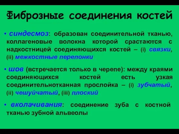 Фиброзные соединения костей синдесмоз: образован соединительной тканью, коллагеновые волокна которой срастаются