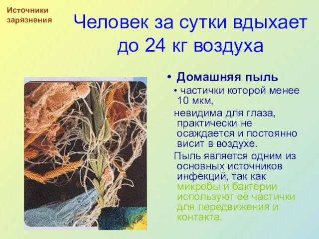 Человек за сутки вдыхает до 24 кг воздуха Домашняя пыль •