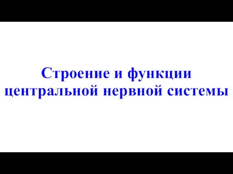 Строение и функции центральной нервной системы