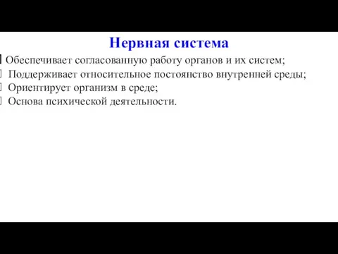 Нервная система Обеспечивает согласованную работу органов и их систем; Поддерживает относительное