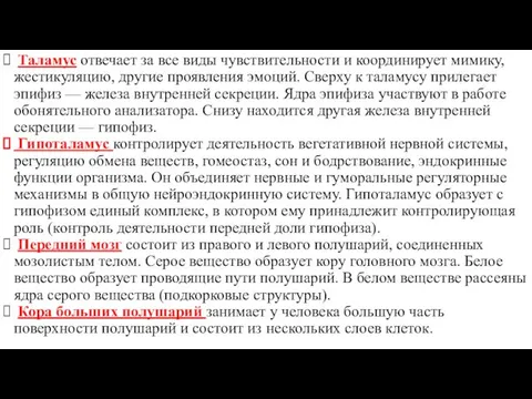 Таламус отвечает за все виды чувствительности и координирует мимику, жестикуляцию, другие