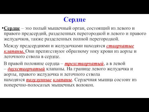 Сердце Сердце – это полый мышечный орган, состоящий из левого и