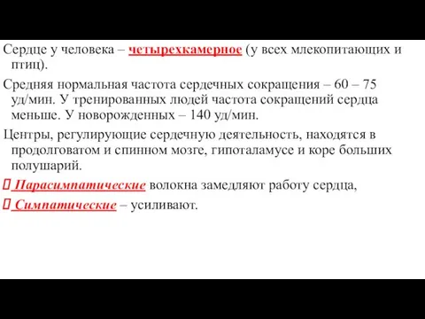 Сердце у человека – четырехкамерное (у всех млекопитающих и птиц). Средняя