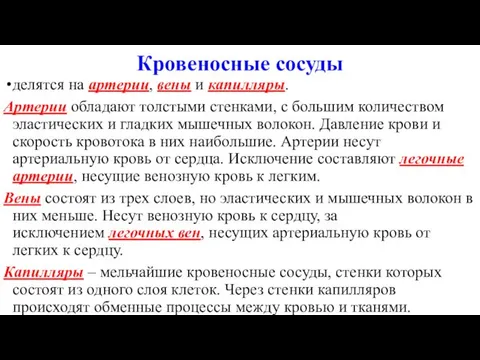 Кровеносные сосуды делятся на артерии, вены и капилляры. Артерии обладают толстыми