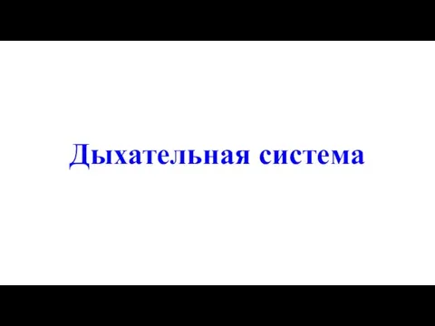 Дыхательная система