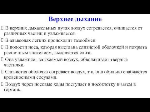 Верхнее дыхание В верхних дыхательных путях воздух согревается, очищается от различных