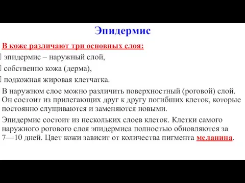 Эпидермис В коже различают три основных слоя: эпидермис – наружный слой,