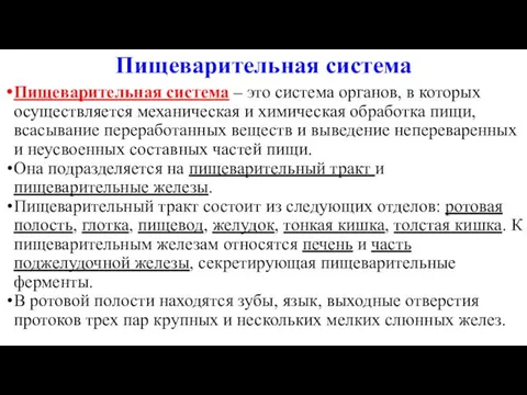 Пищеварительная система Пищеварительная система – это система органов, в которых осуществляется