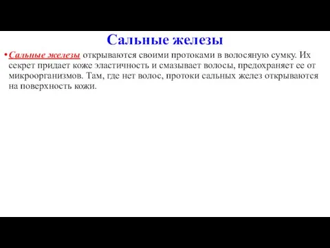 Сальные железы Сальные железы открываются своими протоками в волосяную сумку. Их