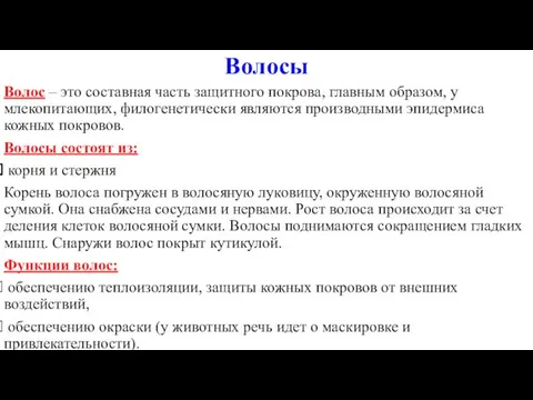 Волосы Волос – это составная часть защитного покрова, главным образом, у