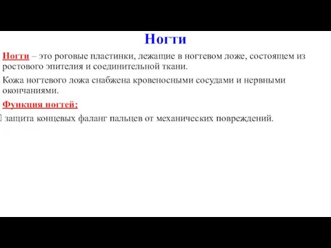 Ногти – это роговые пластинки, лежащие в ногтевом ложе, состоящем из