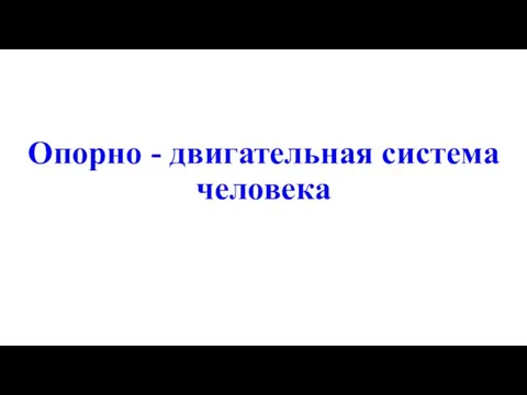 Опорно - двигательная система человека