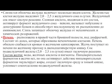 Слизистая оболочка желудка включает несколько видов клеток. Железистые клетки желудка выделяют