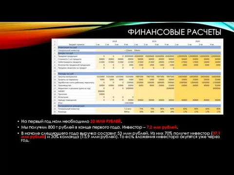 ФИНАНСОВЫЕ РАСЧЕТЫ На первый год нам необходимо 22 МЛН РУБЛЕЙ. Мы