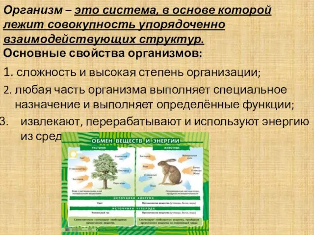 Организм – это система, в основе которой лежит совокупность упорядоченно взаимодействующих