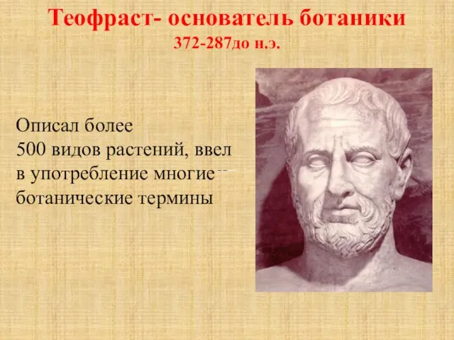 Теофраст- основатель ботаники 372-287до н.э. Описaл бoлee 500 видoв paстeний, ввел в употребление многие ботанические термины