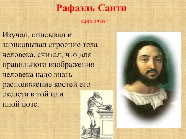 Рафаэль Санти 1483-1520 Изучал, описывал и зарисовывал строение тела человека, считал,