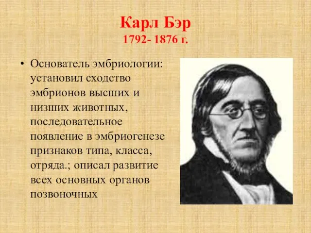 Карл Бэр 1792- 1876 г. Основатель эмбриологии: установил сходство эмбрионов высших