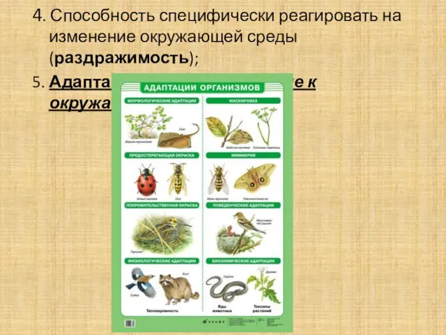 4. Способность специфически реагировать на изменение окружающей среды (раздражимость); 5. Адаптация – приспособление к окружающей среде;