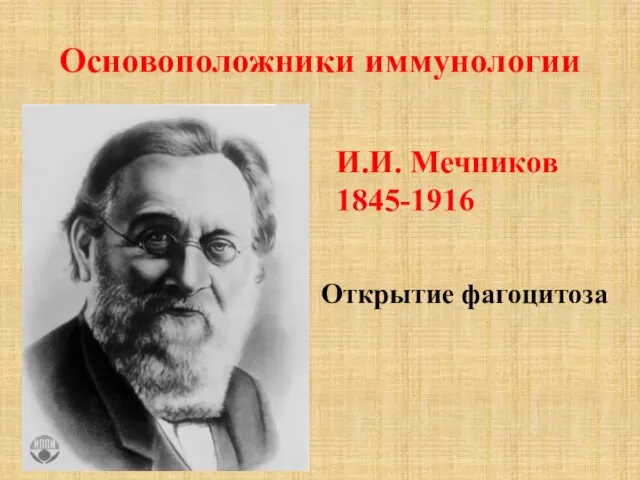 Основоположники иммунологии Открытие фагоцитоза И.И. Мечников 1845-1916