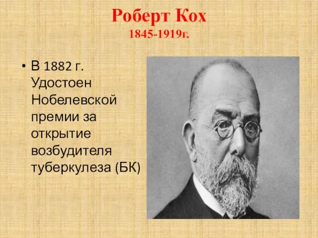 Роберт Кох 1845-1919г. В 1882 г. Удостоен Нобелевской премии за открытие возбудителя туберкулеза (БК)