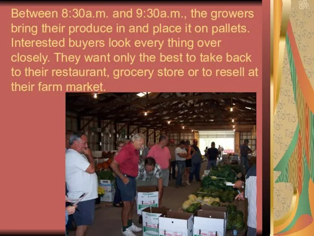 Between 8:30a.m. and 9:30a.m., the growers bring their produce in and