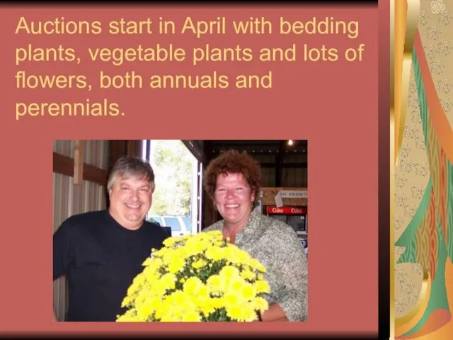 Auctions start in April with bedding plants, vegetable plants and lots