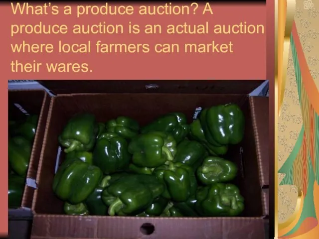 What’s a produce auction? A produce auction is an actual auction