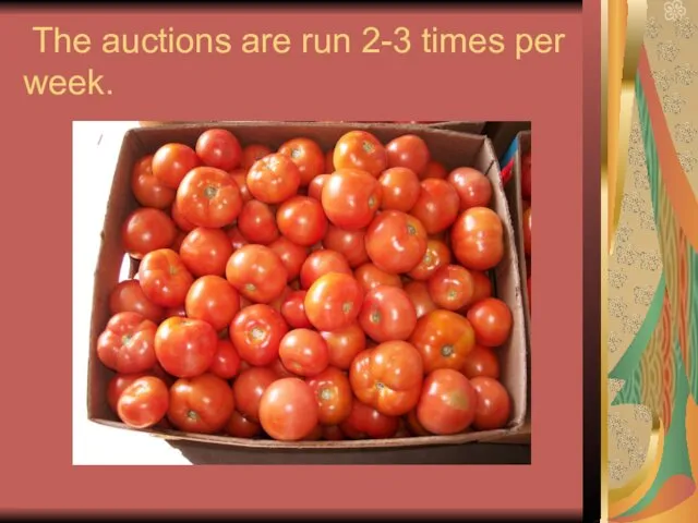 The auctions are run 2-3 times per week.