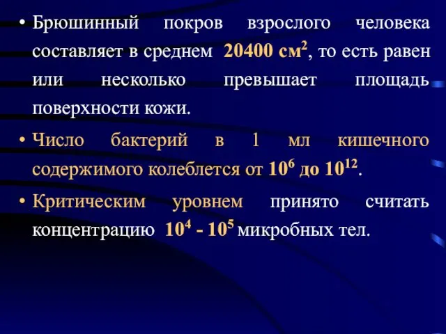 Брюшинный покров взрослого человека составляет в среднем 20400 см2, то есть