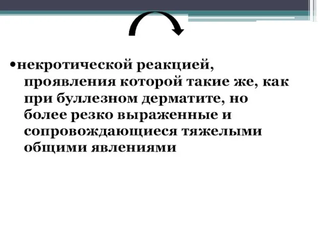 некротической реакцией, проявления которой такие же, как при буллезном дерматите, но